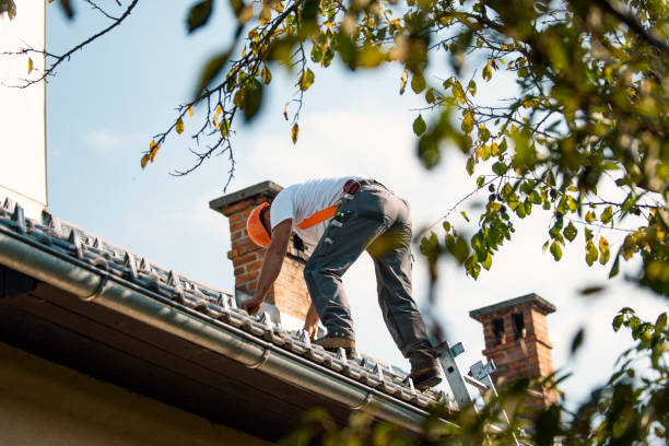 Best Gutter Installation and Roofing  in Gastonville, PA